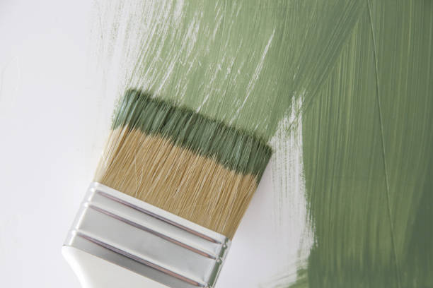 Best Mold Damage Restoration  in Biddeford, ME