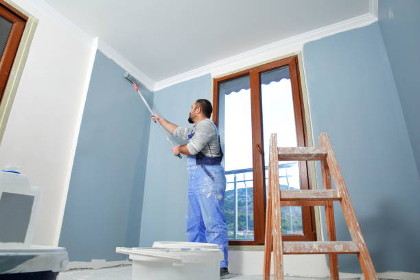 Best Emergency Mold Remediation  in Biddeford, ME