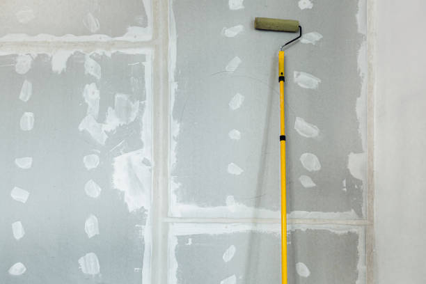 Best Residential Mold Inspection & Testing  in Biddeford, ME