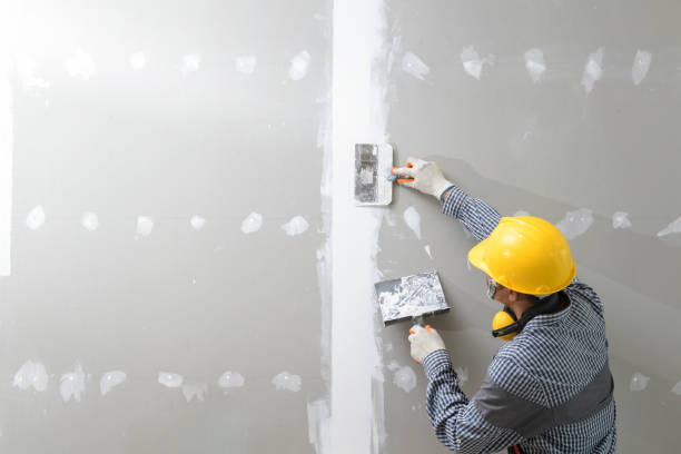 Professional Mold Removal in Biddeford, ME