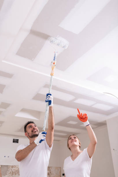 Best Basement Mold Removal  in Biddeford, ME