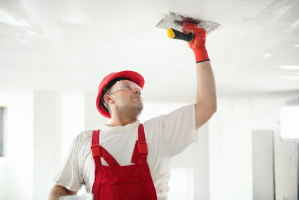 Best Mold Documentation for Insurance Claims  in Biddeford, ME