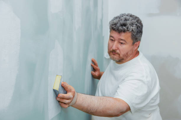 Forensic Mold Investigation in Biddeford, ME