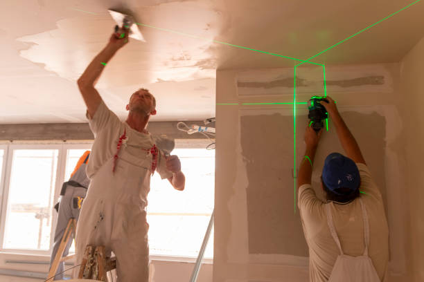 Best Black Mold Removal  in Biddeford, ME