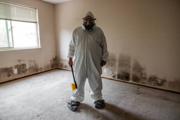 Best Industrial Mold Remediation  in Biddeford, ME